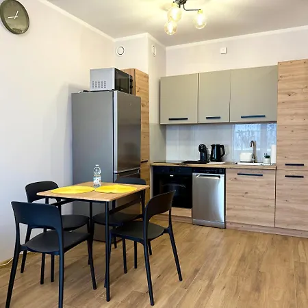 Apartment Theapartments Limanowskiego *