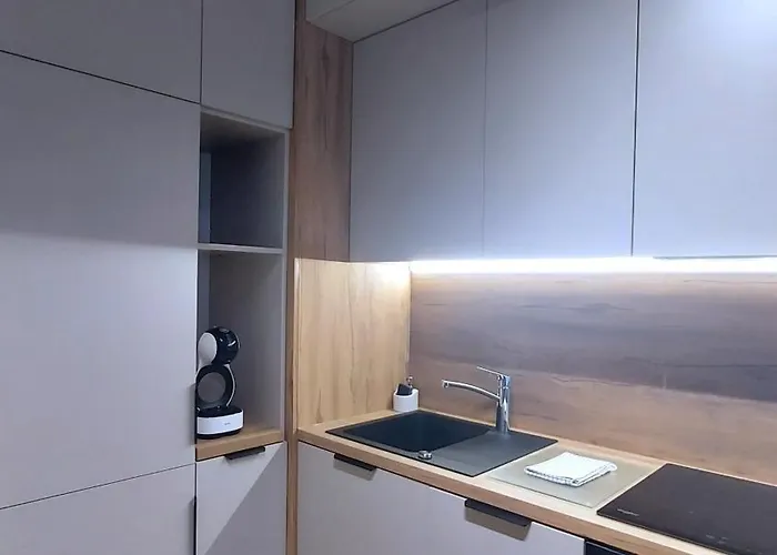 Theapartments Limanowskiego Apartamento