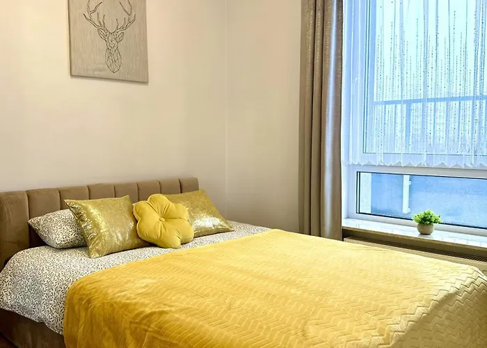 Theapartments Limanowskiego * Łódź